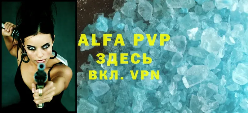 Alfa_PVP СК КРИС  маркетплейс как зайти  Воронеж  гидра сайт 