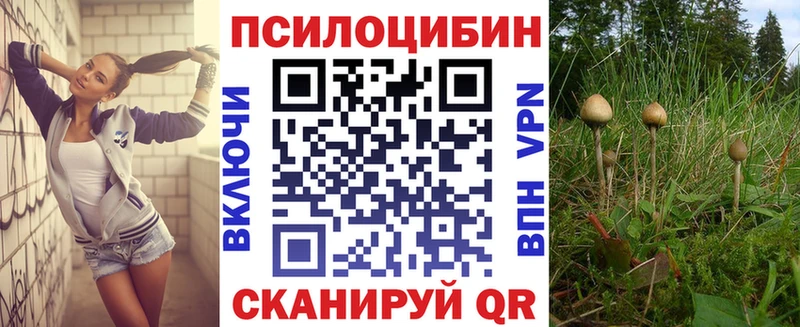 Псилоцибиновые грибы Magic Shrooms  Воронеж 