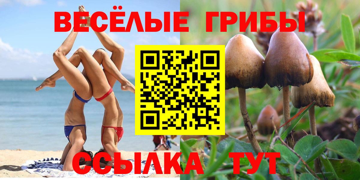 Псилоцибиновые грибы мухоморы Воронеж